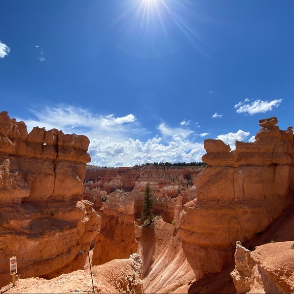 Meet your Posher, M - Picture 1 of 1